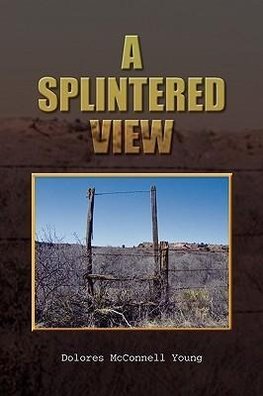 A Splintered View