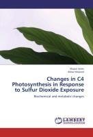 Changes in C4 Photosynthesis in Response to Sulfur Dioxide Exposure