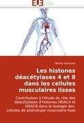 Les histones déacétylases 4 et 8 dans les cellules musculaires lisses