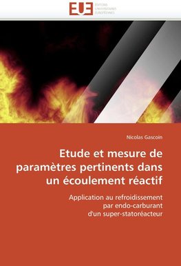 Etude et mesure de paramètres pertinents dans un écoulement réactif