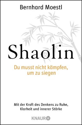 Shaolin - Du musst nicht kämpfen, um zu siegen!