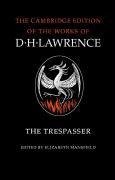 The Trespasser