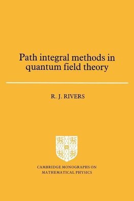 Path Integral Methods in Quantum Field Theory