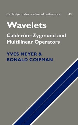 Wavelets