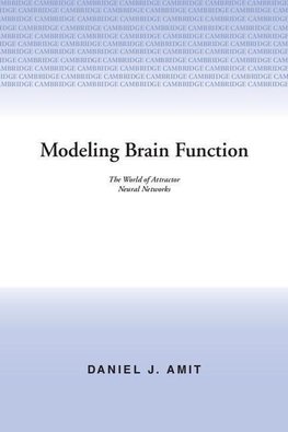 Modelling Brain Function