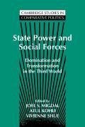 State Power and Social Forces