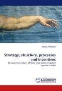 Strategy, structure, processes and incentives