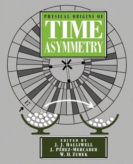 Physical Origins of Time Asymmetry