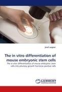 The in vitro differentiation of mouse embryonic stem cells