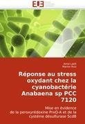 Réponse au stress oxydant chez la cyanobactérie Anabaena sp PCC 7120