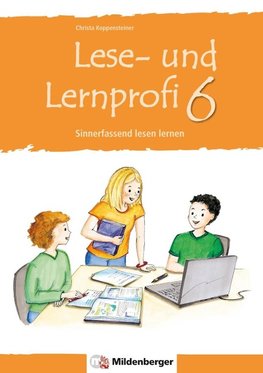 Lese- und Lernprofi 6