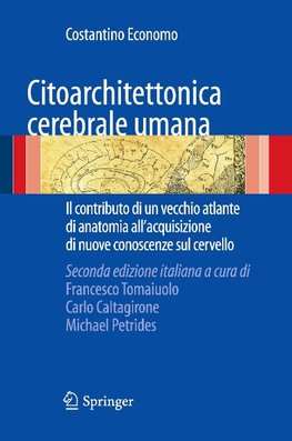 Citoarchitettonica cerebrale umana