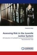 Assessing Risk in the Juvenile Justice System