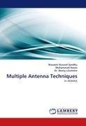 Multiple Antenna Techniques