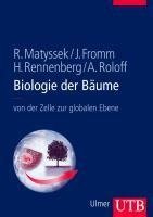 Biologie der Bäume