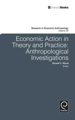 Economic Action in Theory and Practice