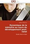 Dynamique de la mémoire au cours du développement post-natal