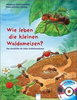 Wie leben die kleinen Waldameisen?