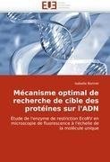 Mécanisme optimal de recherche de cible des protéines sur l'ADN