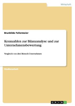 Kennzahlen zur Bilanzanalyse und zur Unternehmensbewertung