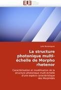 La structure photonique multi-échelle de Morpho rhetenor