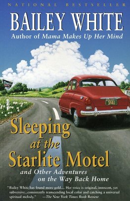 Sleeping at the Starlite Motel