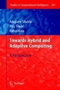 Towards Hybrid and Adaptive Computing