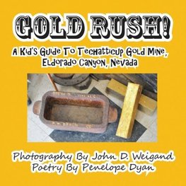 Gold Rush! A Kid's Guide To Techatticup Gold Mine, Eldorado Canyon, Nevada