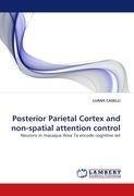 Posterior Parietal Cortex and non-spatial attention control