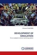 DEVELOPMENT OF SIMULATION