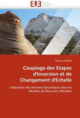 Couplage des Etapes d''Inversion et de Changement d''Echelle