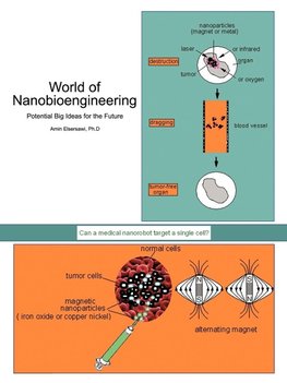 World of Nanobioengineering