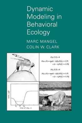 Dynamic Modeling in Behavioral Ecology