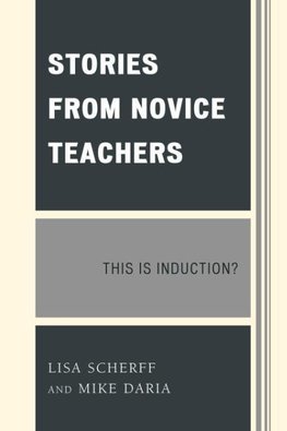 Stories from Novice Teachers