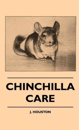 Chinchilla Care