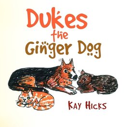 Dukes the Ginger Dog