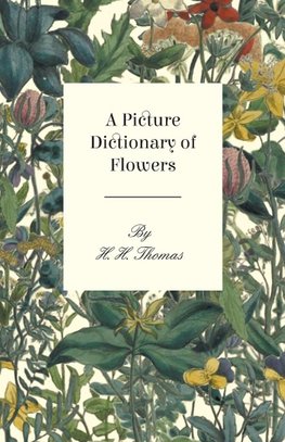 A Picture Dictionary of Flowers