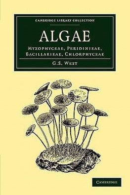 Algae