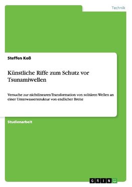 Künstliche Riffe zum Schutz vor Tsunamiwellen