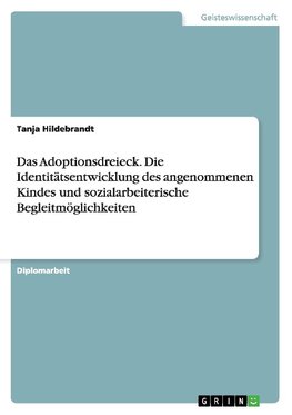 Das Adoptionsdreieck. Die Identitätsentwicklung des angenommenen Kindes und sozialarbeiterische Begleitmöglichkeiten