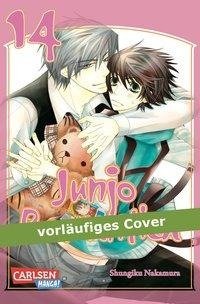 Junjo Romantica 14