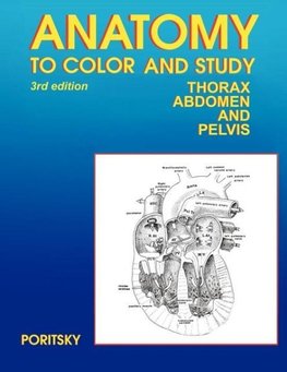 Anatomy to Color and Study Thorax Third Edition