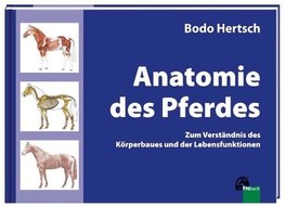 Anatomie des Pferdes