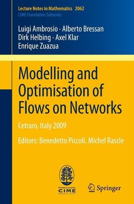 Modelling and Optimisation of Flows on Networks