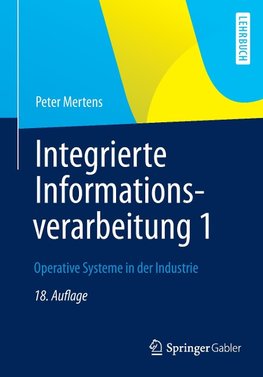 Integrierte Informationsverarbeitung 1