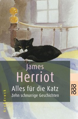 Alles für die Katz. Großdruck