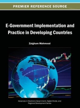 E-Government Implementation and Practice in Developing Countries