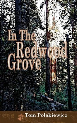 In The Redwood Grove