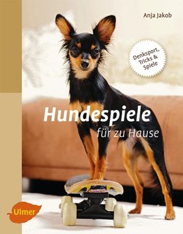 Hundespiele für zu Hause