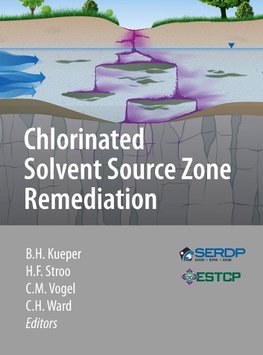 Chlorinated Solvent Source Zone Remediation